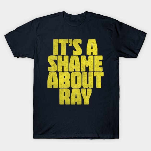 It's A Shame About Ray ||| Vintage Style Fan Art T-Shirt by DankFutura